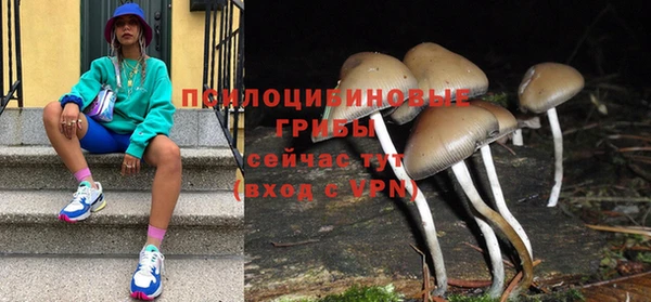 а пвп мука Арсеньев